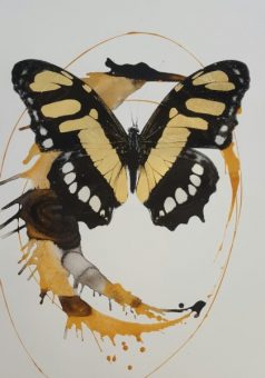 butterfly-paper-420x600