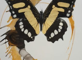 butterfly-paper-420x600